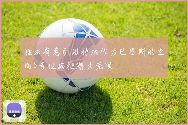 猛龙有意引进特纳作为巴恩斯的空间5号位搭档潜力无限